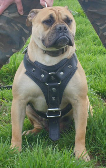 la belle blondy a peine 2 ans 